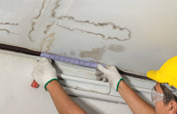 Reliable Water Damage Repair contractor in Melrose, MN by Hirex Water Damage